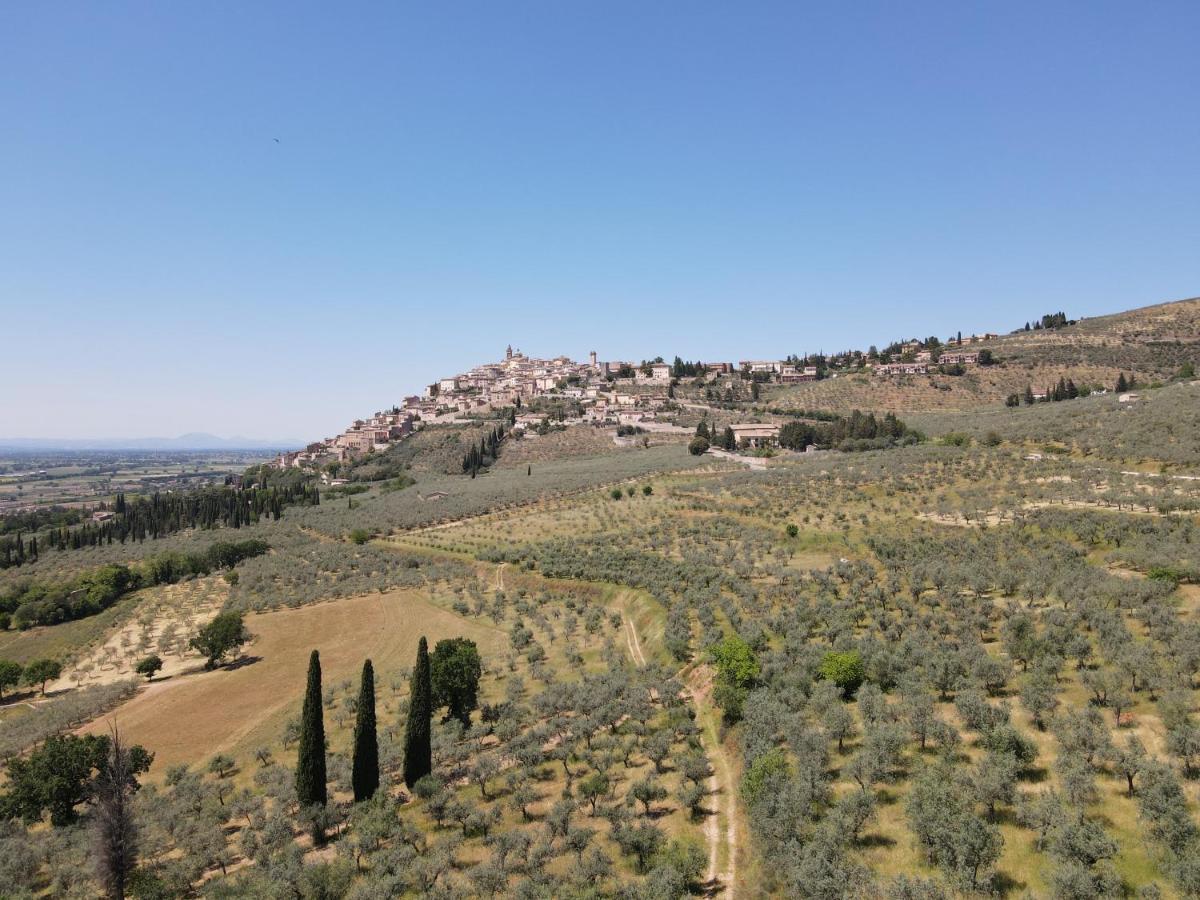 Corte Fratini Appartamenti Trevi Exteriör bild